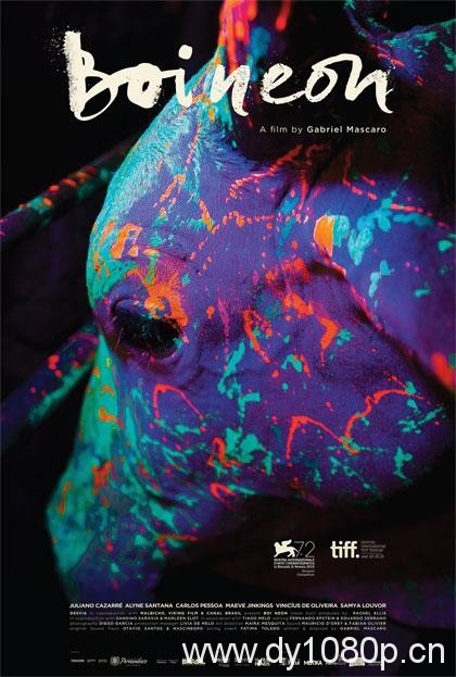 经典电影《霓虹牛》豆瓣评分6.8高清BD中英字幕下载