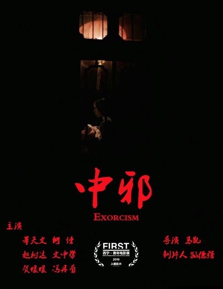 2016最新电影《中邪》DVD国语中字