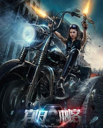 2016最新电影《寡妇刺客》动作剧情