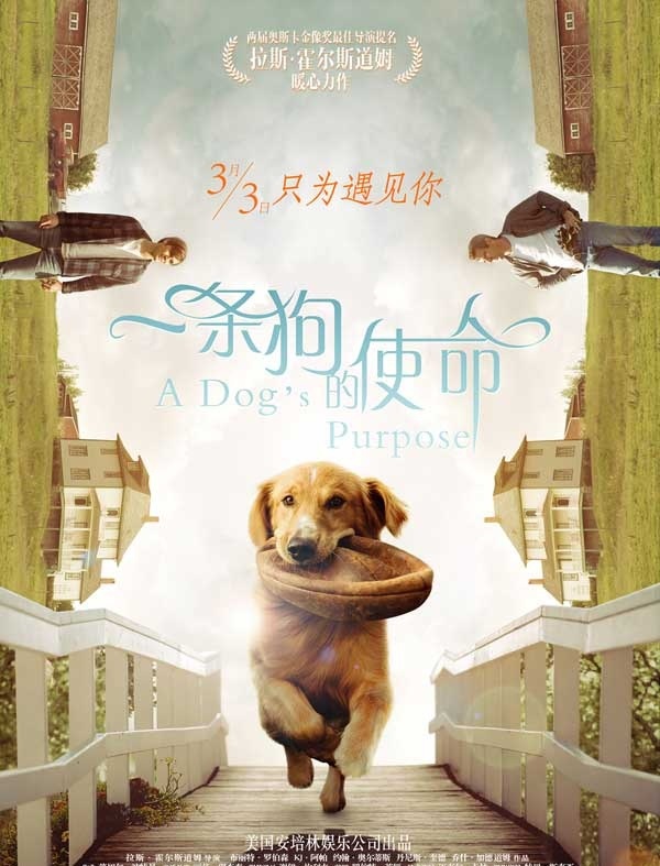 2017最新电影《一条狗的使命》1080p高清版IMDB跟豆瓣差别那么大
