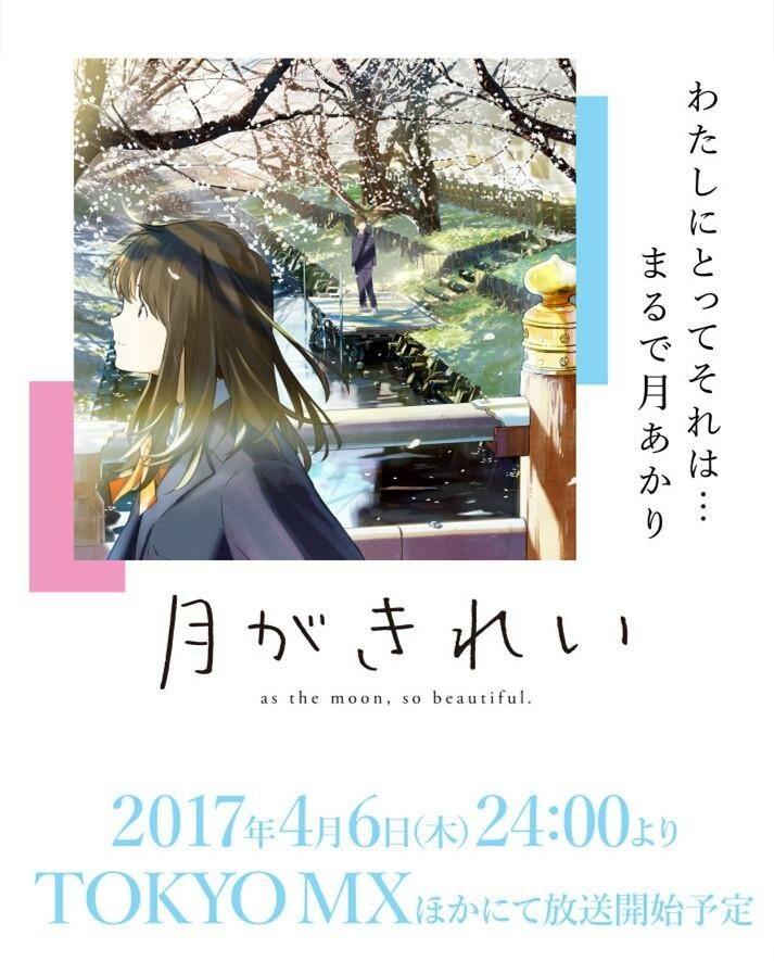 2017动画片《月色真美》高分动画全集