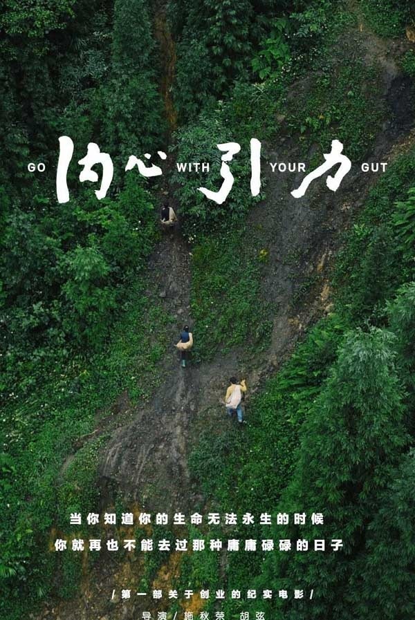 2016经典电影《 内心引力》关于生活、关于创业、关于挣扎的故事