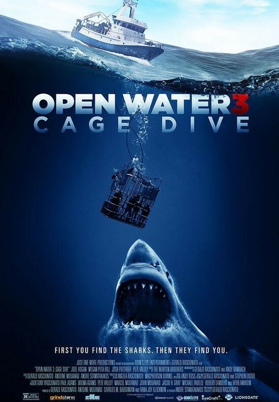 2017惊悚剧情《颤栗汪洋3》720p.BD中英双字