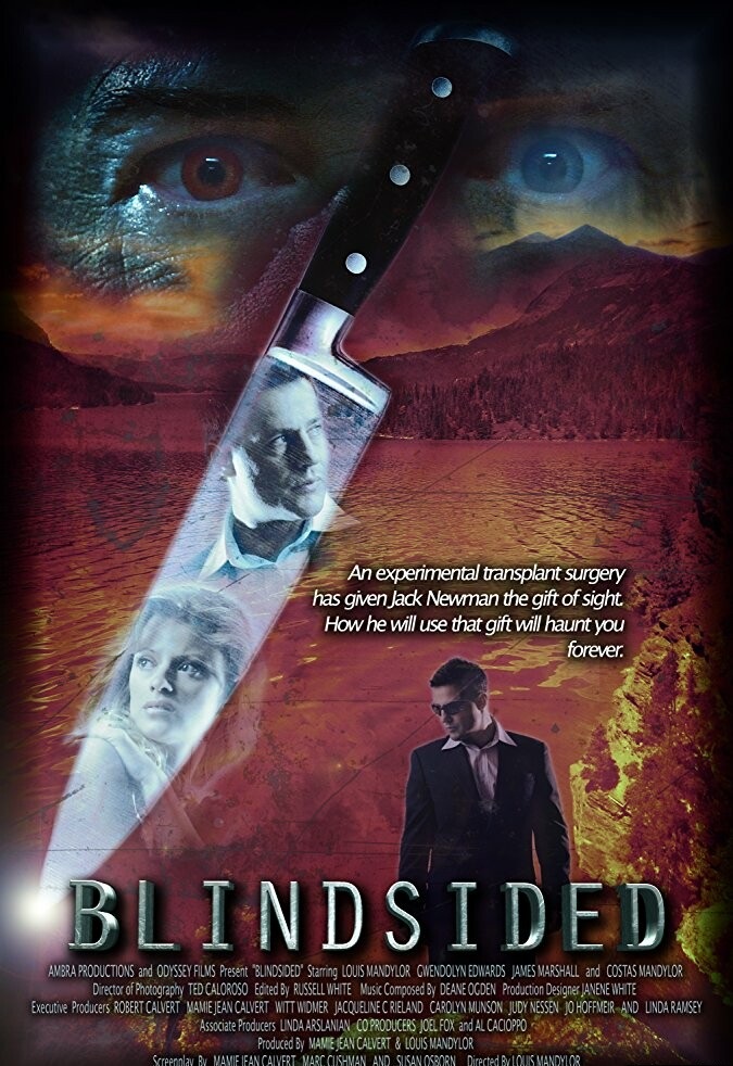 2017恐怖惊悚《盲眼杀机》720p.HD中字