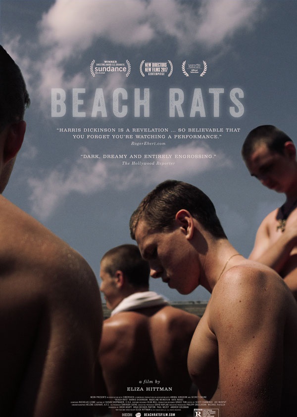 2017最新电影《沙滩鼠》同性类题材电影