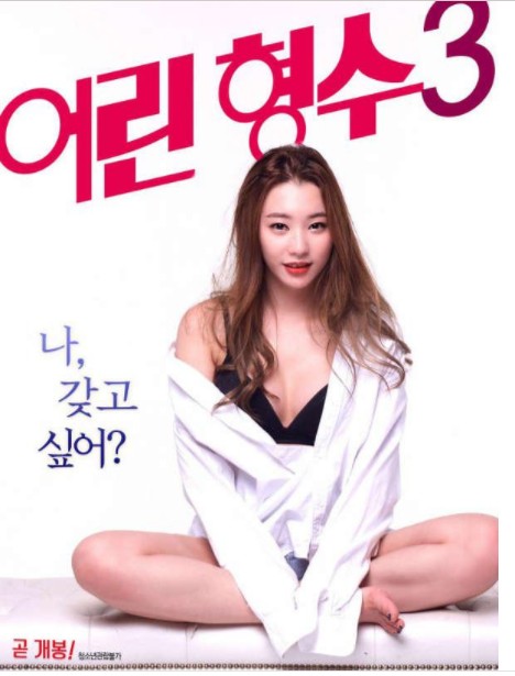 2017韩国爱情《年轻的嫂子3》韩国限制级尺度大作