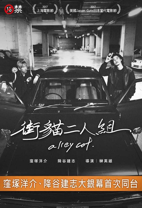 2017最新电影《野良猫/野猫大暴走》[720P][18禁止]