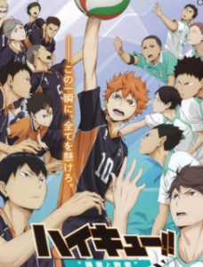 2015高分动画运动《排球少年剧场版2：胜者与败者》BD1080P.日语中字