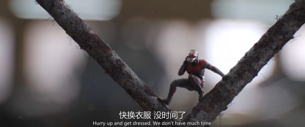 2018欧美科幻《蚁人2:黄蜂女现身》含彩蛋字幕真正高清万众期待