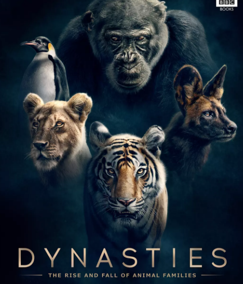 2018记录片《动物王朝第一季》1-4集