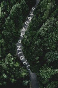 悬疑《平凡的日子》[720P][三视角下的失踪谜案]