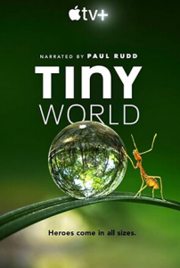 2020纪录片《小小世界》4K.HD中英双字