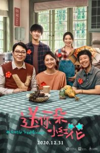 大陆剧情《送你一朵小红花》[国语中字][1080P][万众期待院线热映易烊千玺新片]
