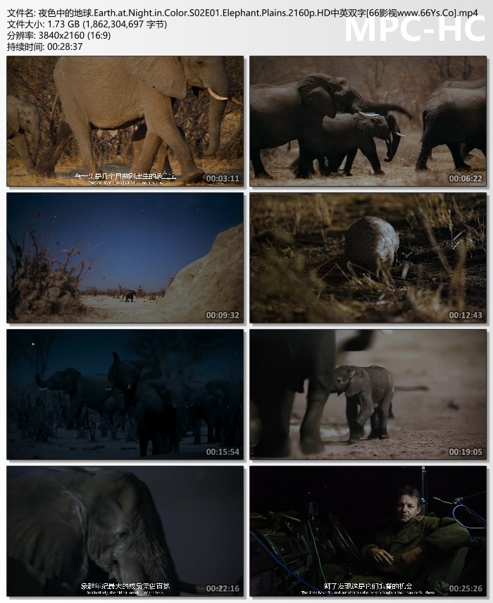 2020纪录片《夜色中的地球 第二季》4K.HD中英双字