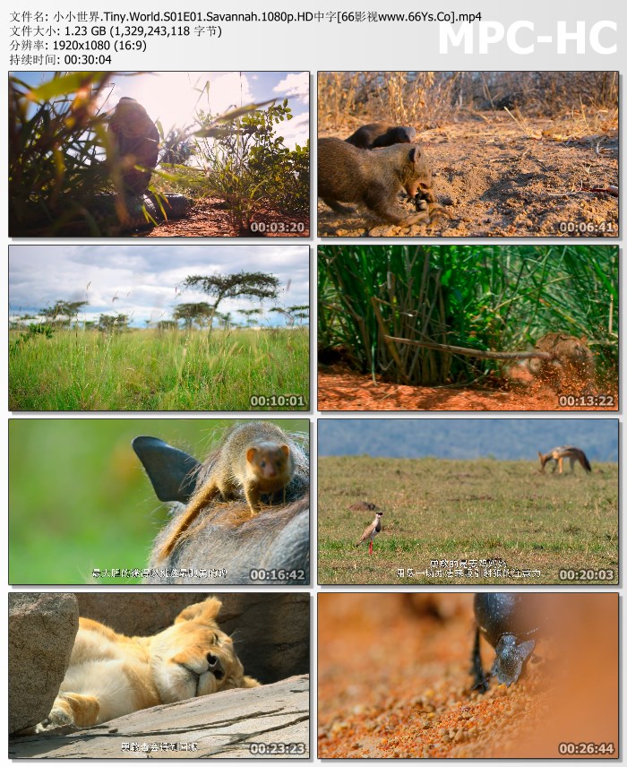 2020纪录片《小小世界.第二季》1080p.HD中英双字