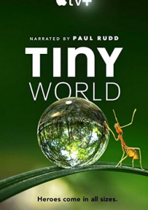 2020纪录片《小小世界.第二季》1080p.HD中英双字