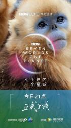 2019英国9.8分纪录片《七个世界，一个星球》HD1080p.中英双字