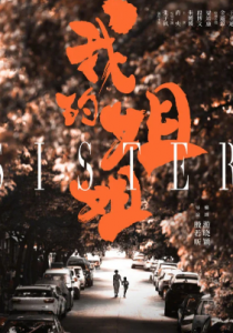 2021剧情豆瓣7.1分《我的姐姐》4K.HD国语中字