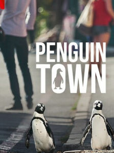 2021纪录片《企鹅小镇》1080p.HD中字