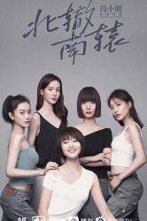 2021金晨都市电视剧《北辙南辕》更新至12集