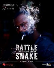 2020尼日利亚剧情《偷天响尾蛇》HD1080p.中文字幕