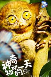 2021加拿大纪录片《神奇动物的一天 第一季》全8集