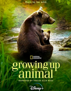 2021纪录片《动物成长》1080p.HD中字