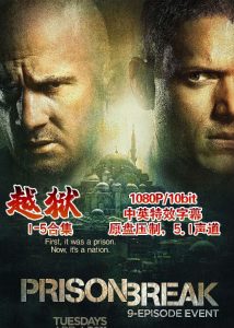 豆瓣8.2分《越狱 第五季》[全9集][中英特效字幕][BD-MKV/13G][1080P][x265/10bit][全网唯一特效版本,含最后一越]
