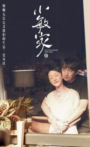 阿里云盘《小敏家》[全40集][WEB-MP4][国语/中字][4K-2160P][无水印][黄磊、周迅 主演]