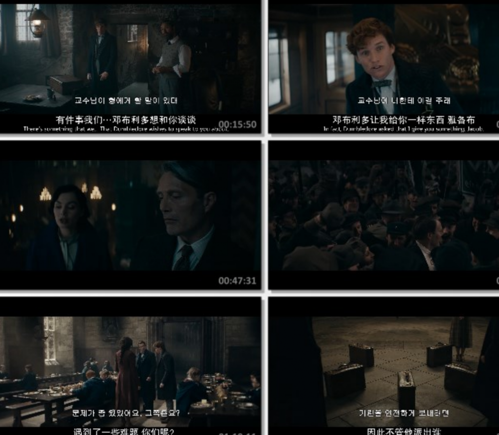 2022奇幻剧情《神奇动物:邓布利多之谜》1080p.HD修正中英双字