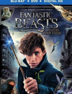 经典高分科幻《神奇动物在哪里》1080p.国英双语.BD中英双字