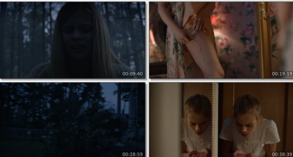 2022恐怖剧情《孵化》1080p.BD中字