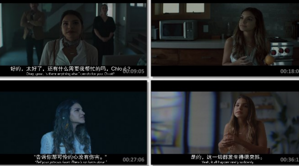 2022惊悚科幻《阴云》1080p.BD中英双字