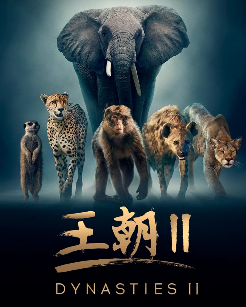 9.6分纪录片《王朝 第二季》更新至03集