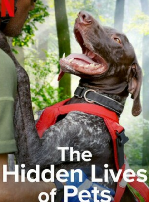 2022纪录片《宠物的秘密生活》1080p.HD中字