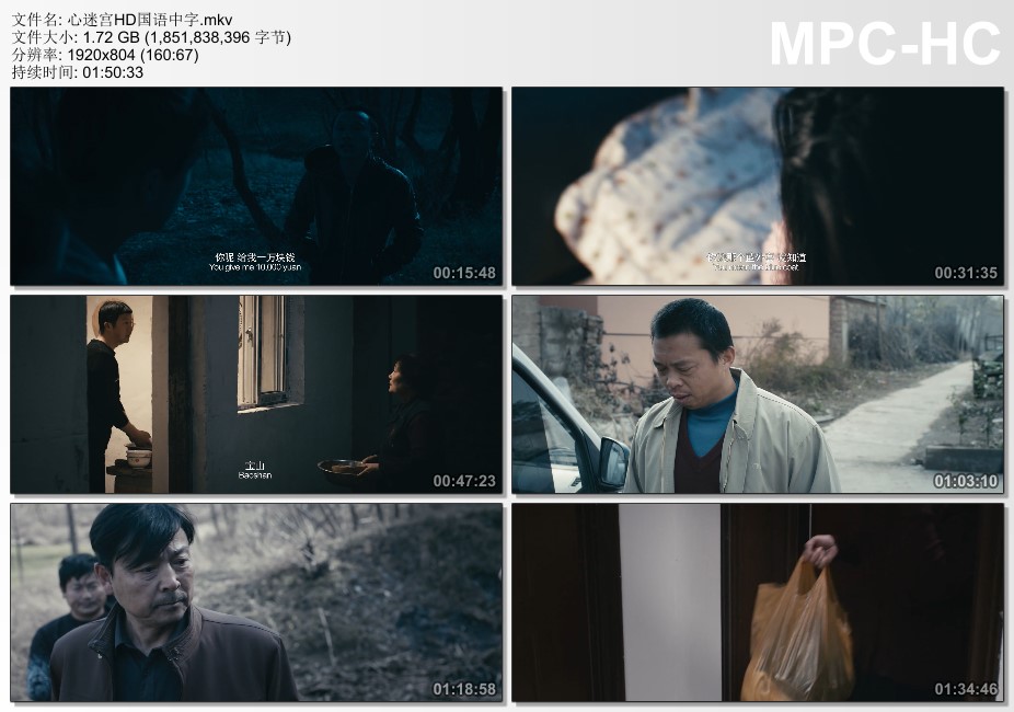 2014年国产经典悬疑犯罪片《心迷宫》HD国语中字