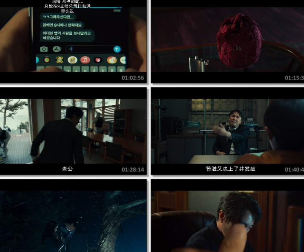 2022高分剧情《分手的决心》1080p.HD中字