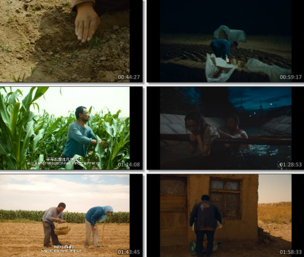 2022高分剧情《隐入尘烟》4K.HD国语中字