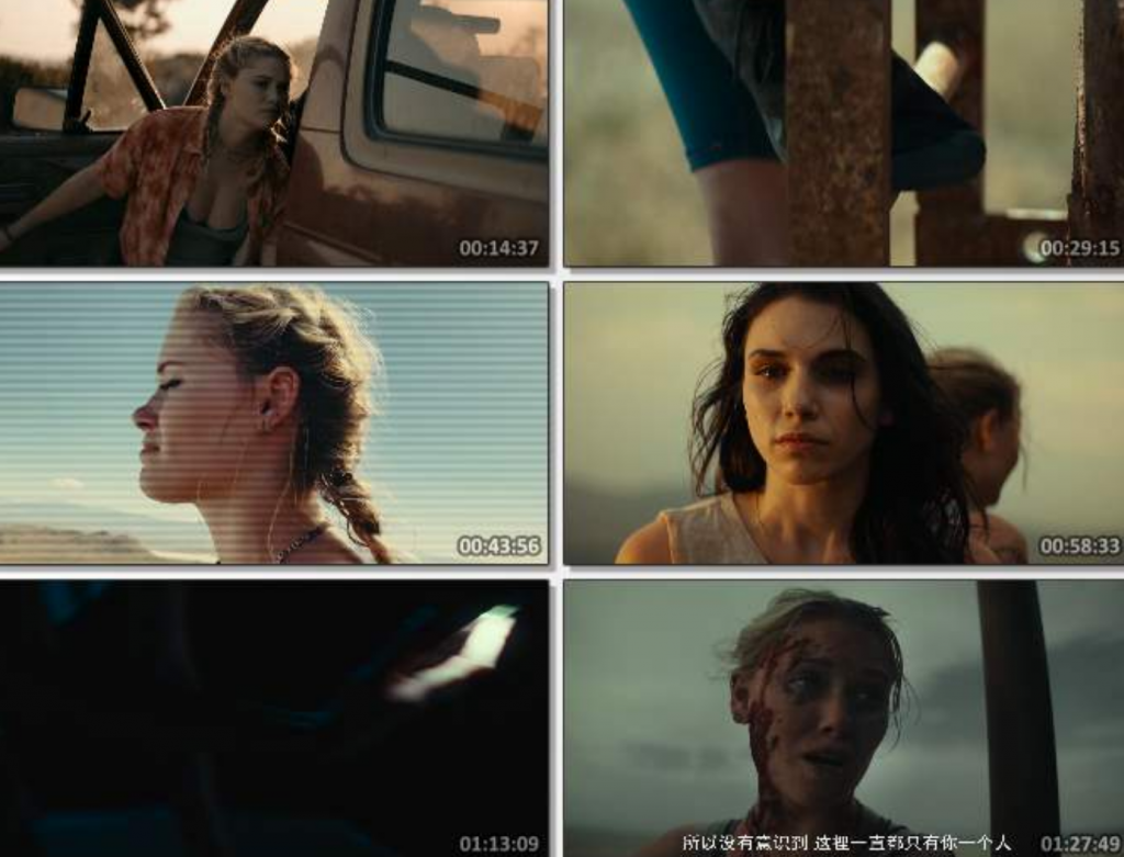 2022惊悚剧情《坠落》1080p.HD中字