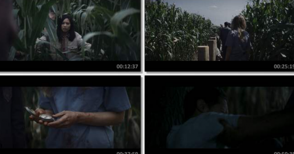 2022惊悚《逃出玉米地》1080p.BD中字