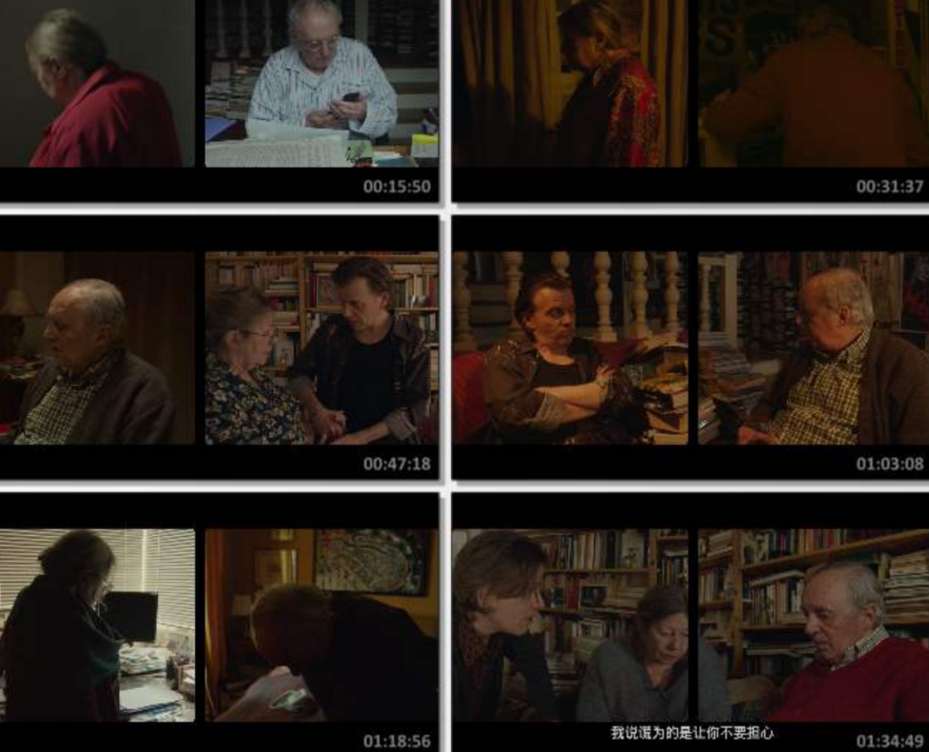 2021高分剧情《旋涡》1080p.BD中字