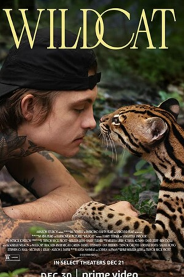 2022纪录片《野猫》1080p.BD中英双字