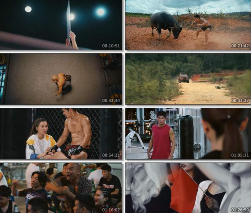 2022动作《斗士》1080p.HD国语中字