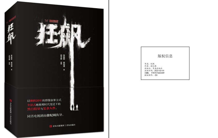 《狂飙》电子书+有声书 钱和权的游戏 强哥的长成与覆灭