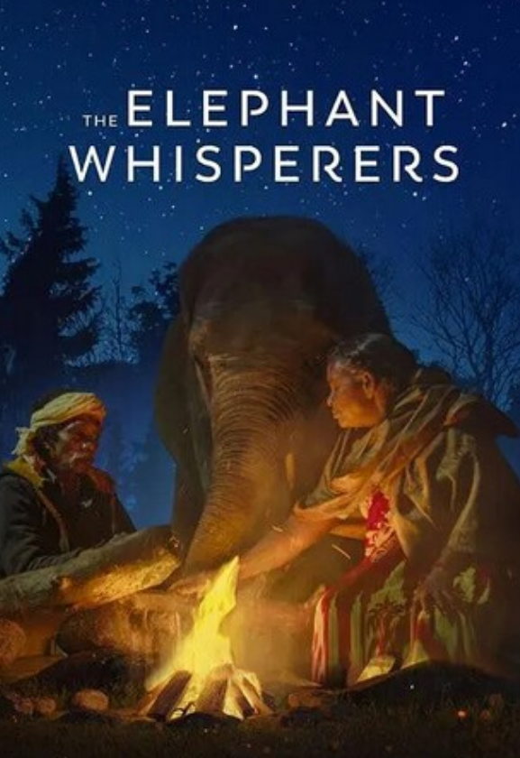 2022高分纪录片《小象守护者》1080p.BD中字