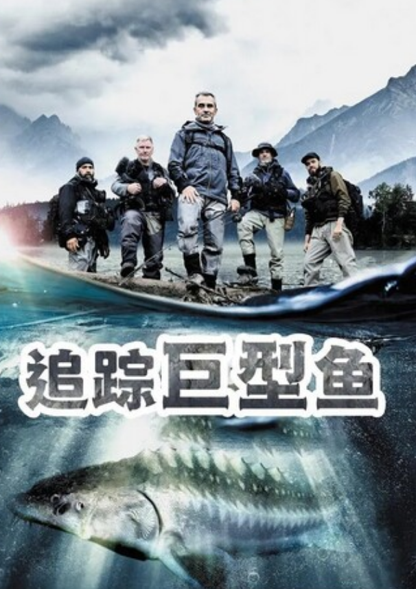 2022纪录片《追踪巨型鱼》1080p.HD中字
