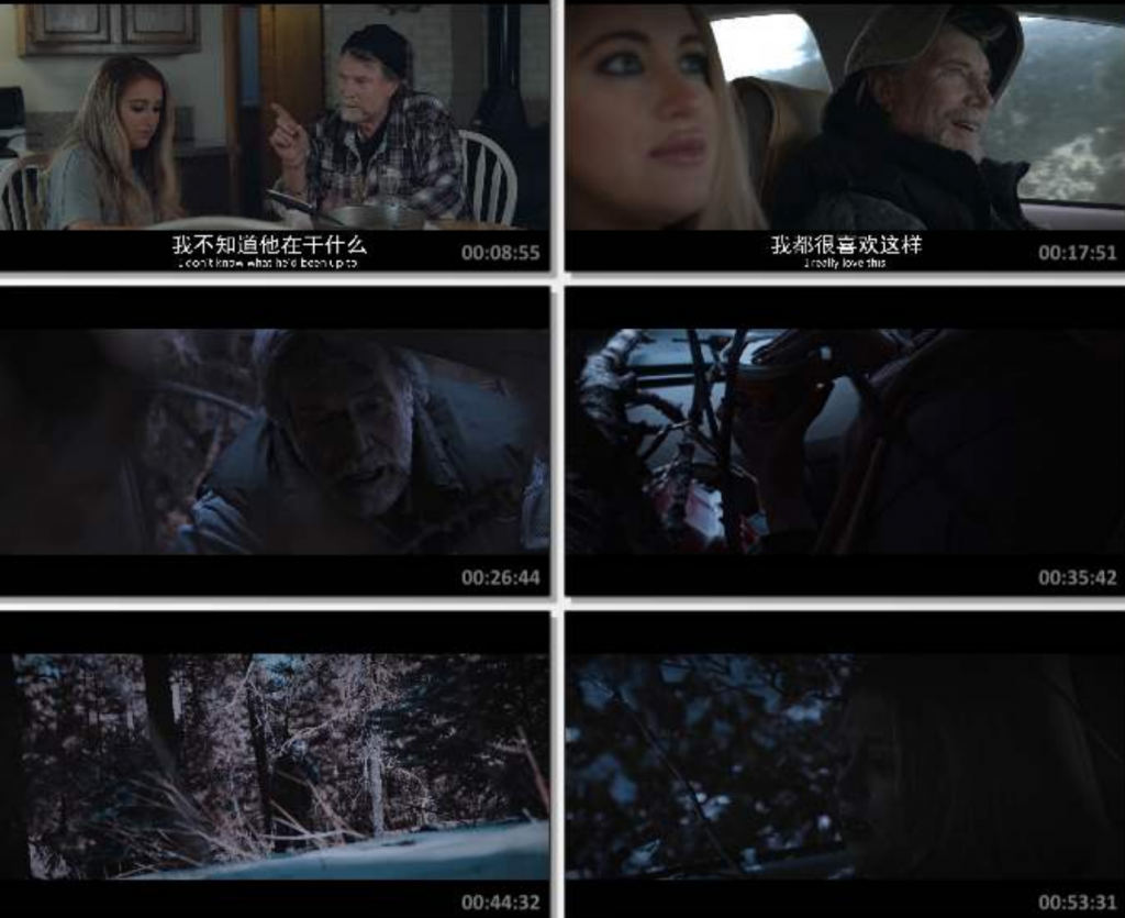 2022惊悚剧情《冰临险境》1080p.BD中英双字