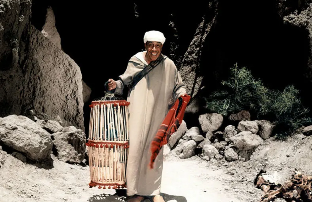 1954法国《阿里巴巴与四十大盗》BD1080p.国法双语中字