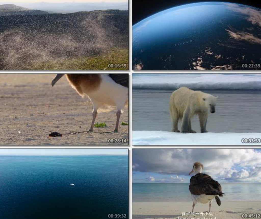 高分纪录片《我们的星球》1080p.HD中英双字