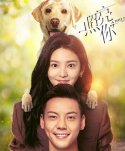 《照亮你》全集